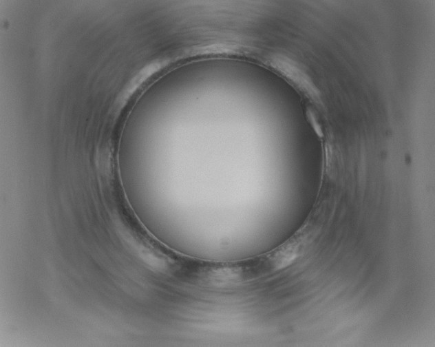 X0000067940156200605112108