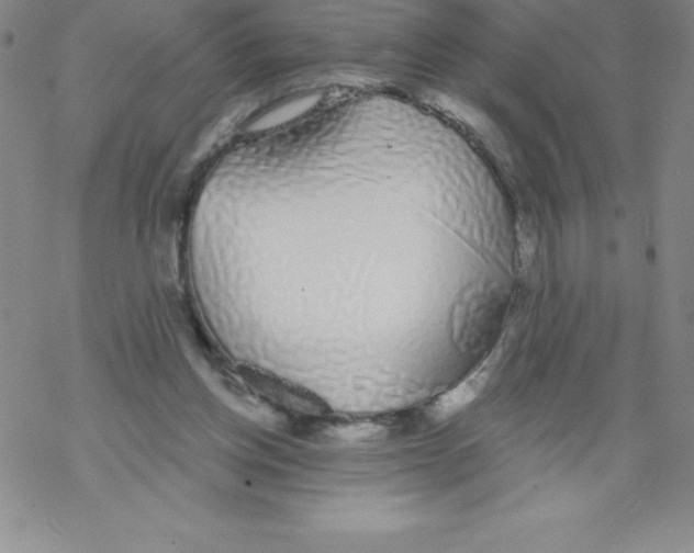 X0000067940158200605112108