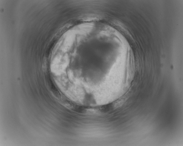 X0000067940167200605112109
