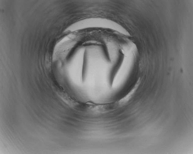 X0000067940186200605112109