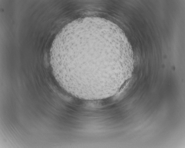 X0000067940187200605112109
