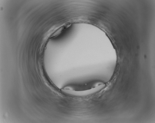 X0000067940193200605112108