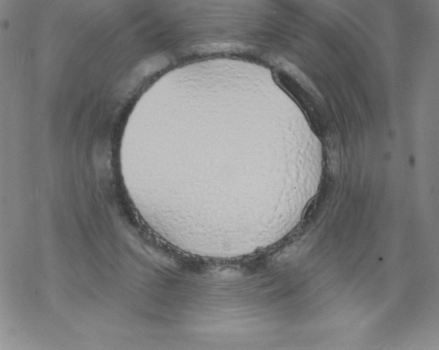 X0000067940207200605112108