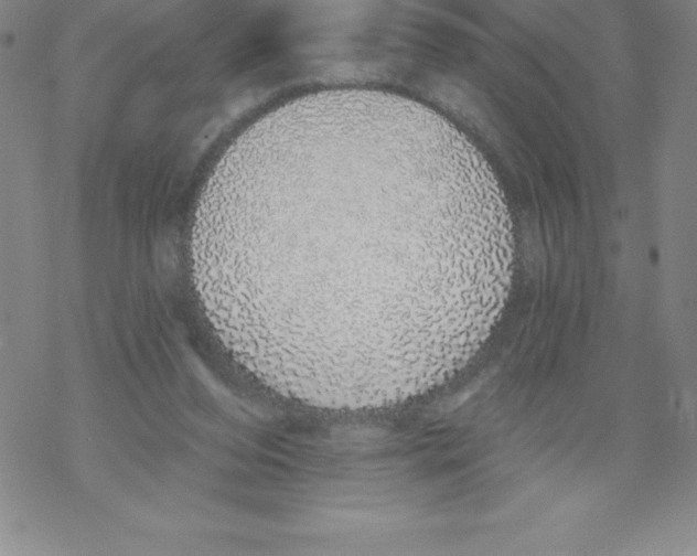 X0000067940208200605112108