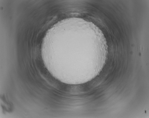 X0000067940218200605112108