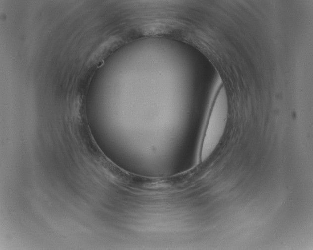 X0000067940219200605112108