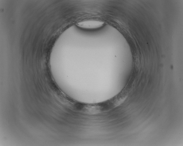 X0000067940221200605112108