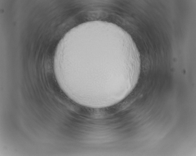 X0000067940226200605112108