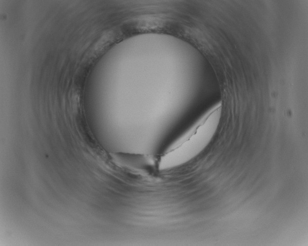 X0000067940227200605112108