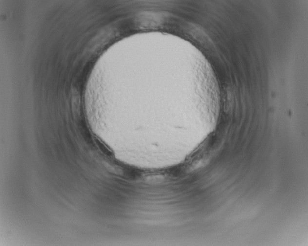X0000067940228200605112108