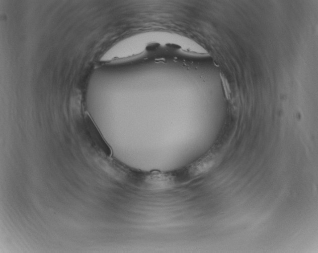 X0000067940231200605112108