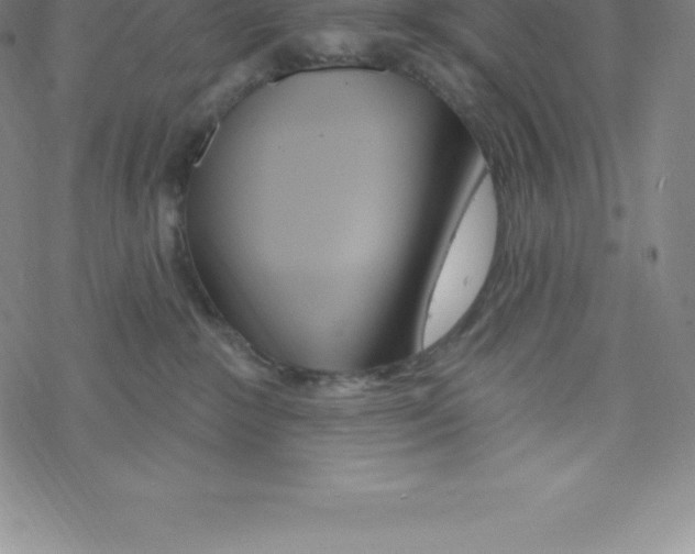 X0000067940235200605112108