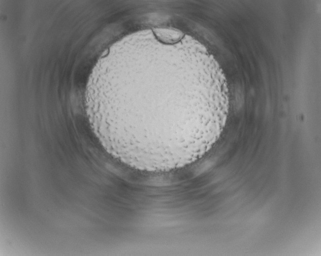 X0000067940236200605112108