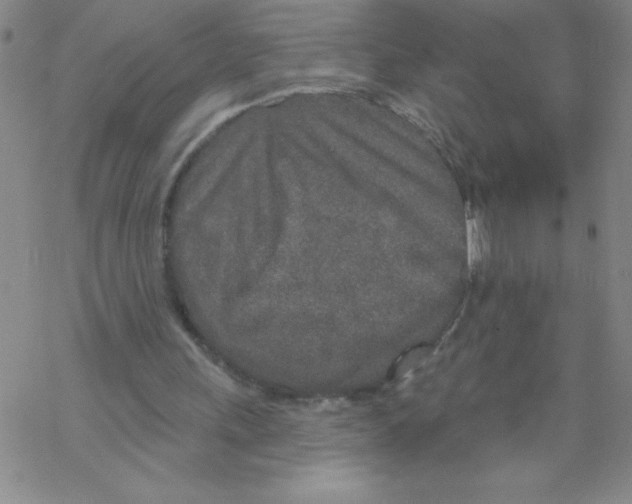 X0000067940243200605112107