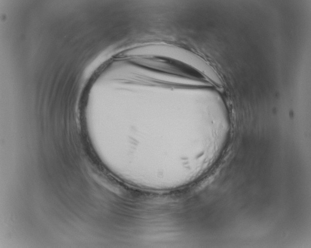 X0000067940246200605112107