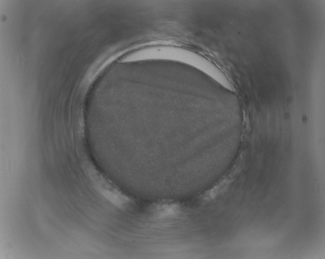 X0000067940247200605112107