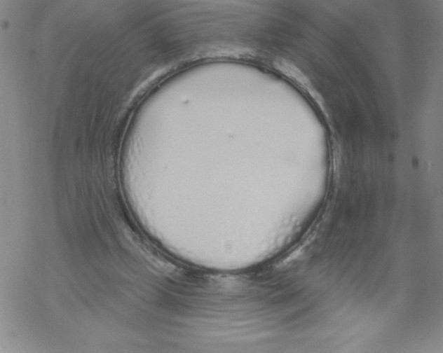 X0000067940249200605112107