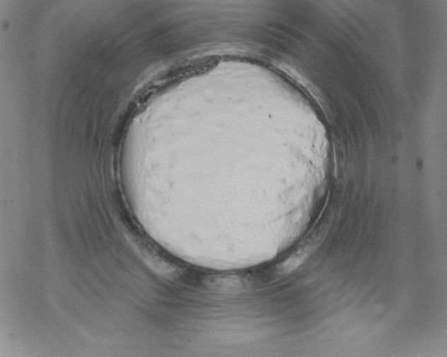 X0000067940253200605112107