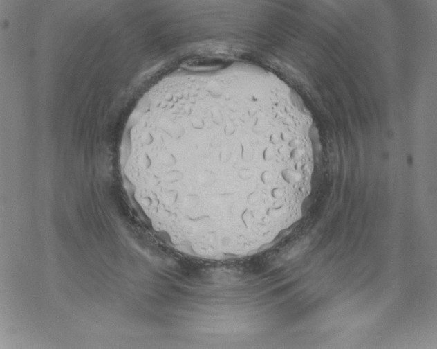 X0000067940255200605112107