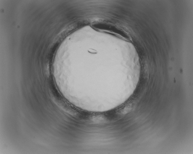 X0000067940262200605112107