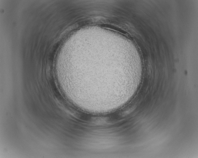 X0000067940266200605112107