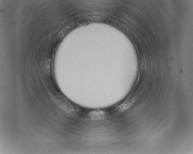 X0000067940271200605112107