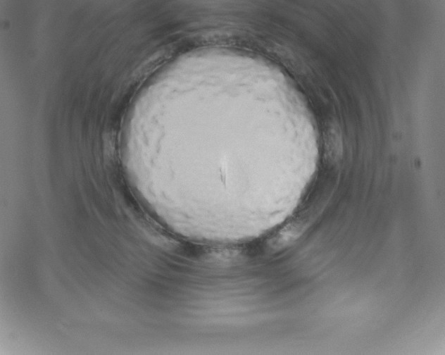 X0000067940278200605112107