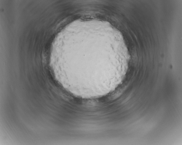 X0000067940282200605112107