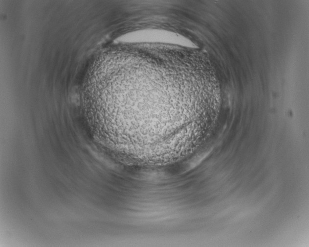 X0000067940284200605112107