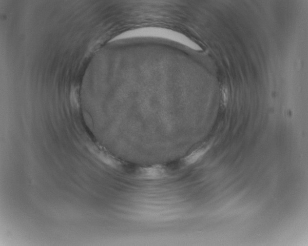 X0000067940286200605112107