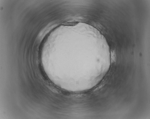 X0000067940291200605112107