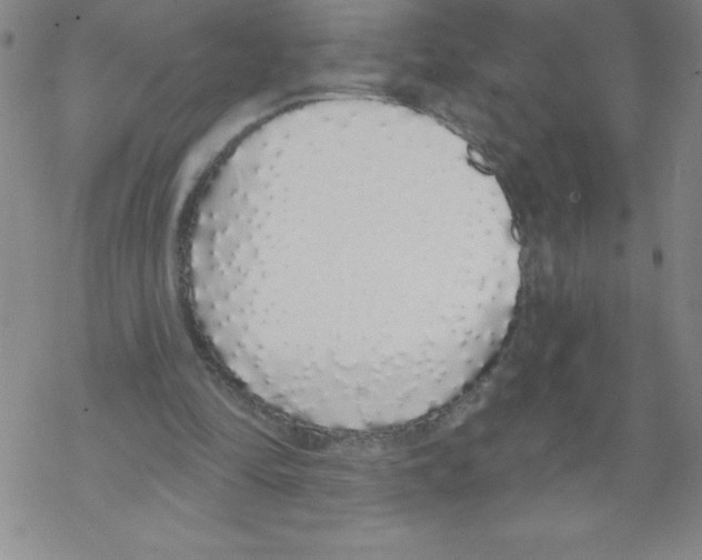 X0000067940294200605112107