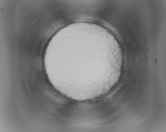 X0000067940298200605112107