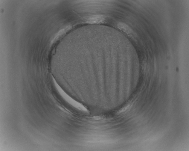 X0000067940303200605112106