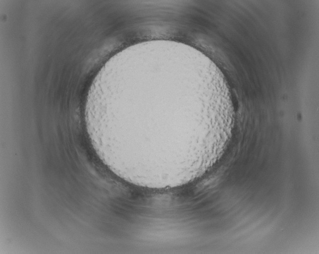 X0000067940306200605112106