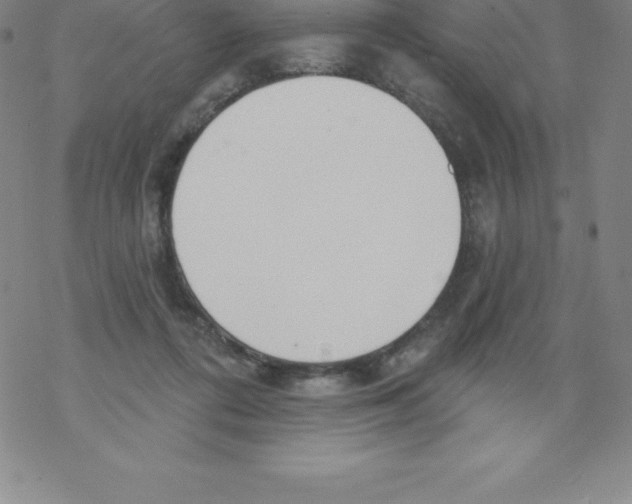 X0000067940312200605112106