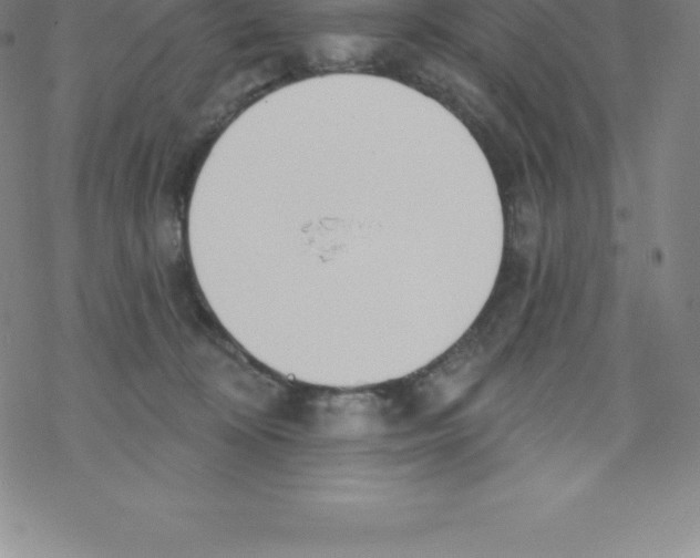 X0000067940324200605112106