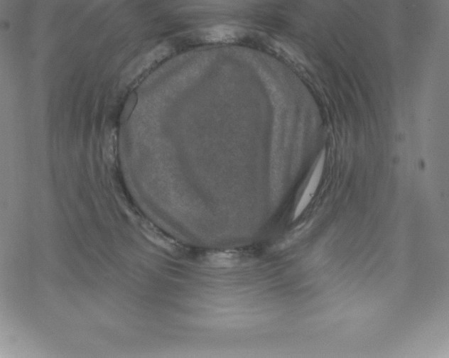 X0000067940325200605112106