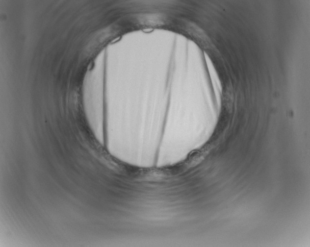 X0000067940330200605112106