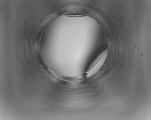 X0000067940333200605112106