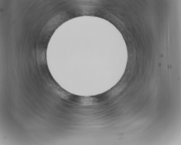 X0000067940336200605112106