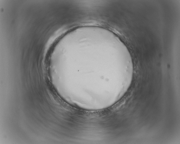 X0000067940343200605112105
