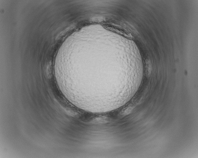 X0000067940364200605112105