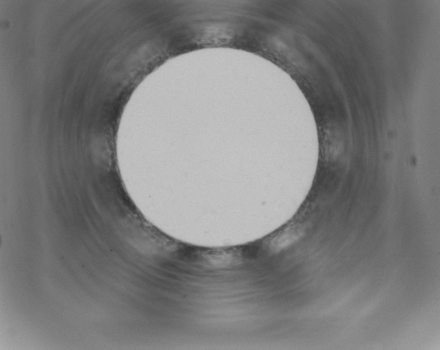 X0000067940370200605112106
