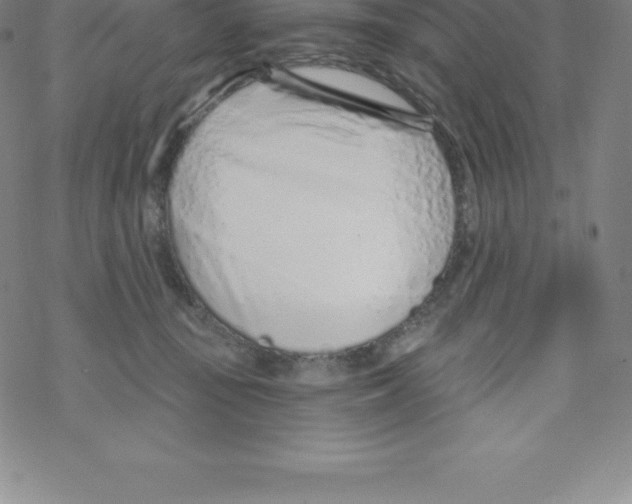 X0000067940371200605112106