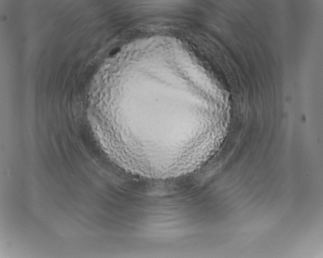 X0000067940372200605112106