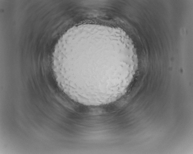 X0000067940376200605112106