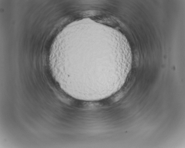 X0000067940379200605112106