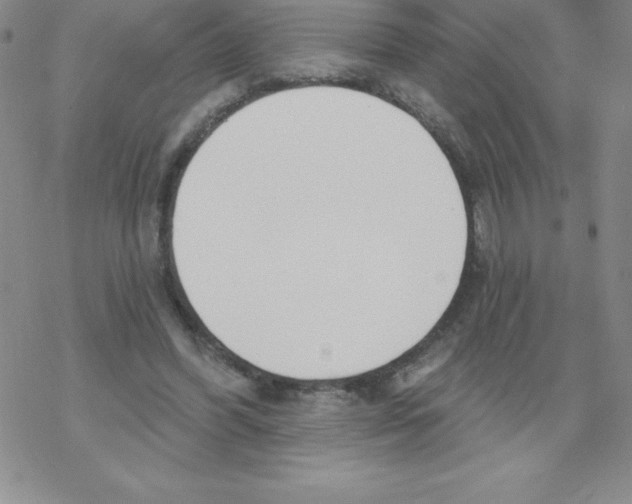 X0000067940396200605112105
