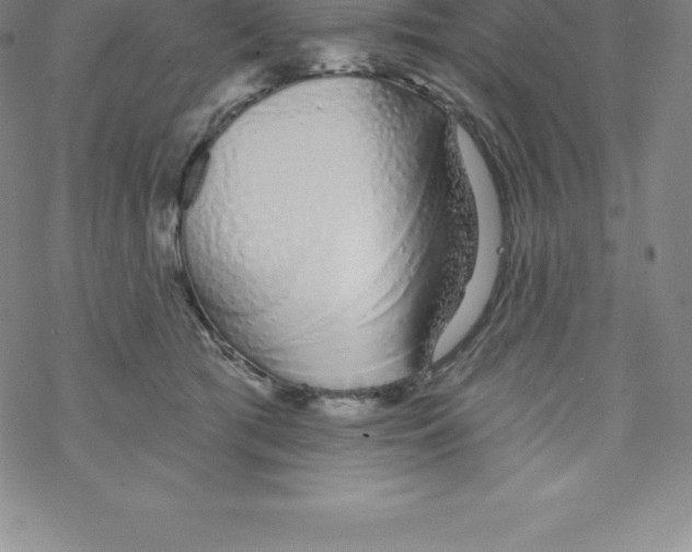 X0000067940417200605112104